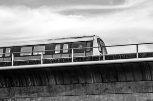 盘点上海地铁服务中心相关关键词有哪些