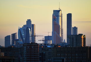 关于上海市奉贤中心医院相关关键词有哪些