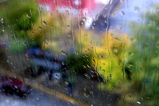 关于上海天气15天查询精准雨阴中雨大雨倾盆相关关键词有哪些
