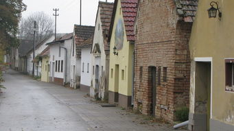 关于民国上海四大家族相关关键词有哪些