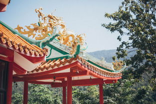 盘点上海有名的寺院相关关键词有哪些