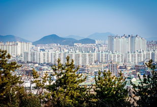关于上海5天天气预报浦东区相关关键词有哪些