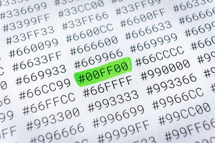 上海如何领取失业保险金流程图片查询