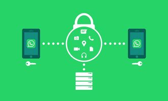 上海社保卡号如何网上查询缴费记录呢电话号码 上海社保卡号如何网上查询缴费记录呢电话号码