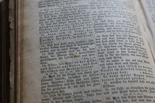 盘点上海的一本大学有哪些学校名单排名相关关键词有哪些