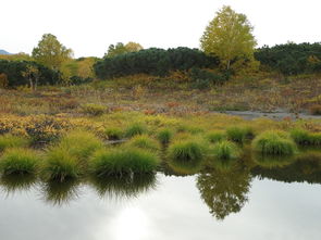 盘点上海市免费公园有哪些相关关键词有哪些