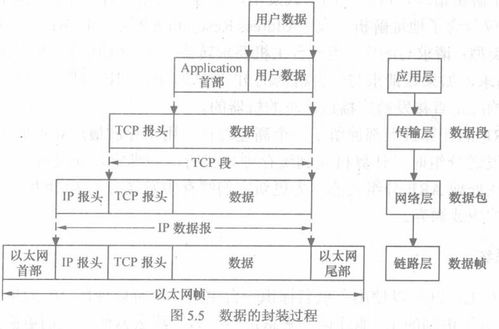 盘点上海九院 眼袋相关关键词有哪些