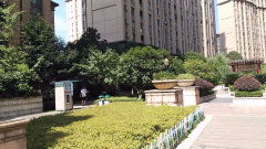 关于上海大学中外合作国际本科怎么样啊相关关键词有哪些