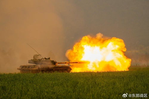 上海社保如何查询个人账户余额情况