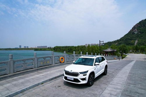 关于上海大学考研复试名单公布时间相关关键词有哪些