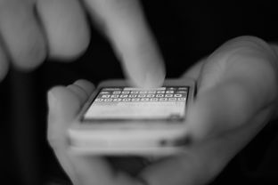 如何查看上海社保缴费记录清单查询电话