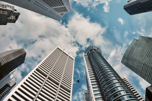 盘点上海领盛实业有限公司相关关键词有哪些