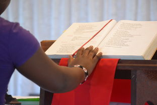 如何查看上海积分记录结果