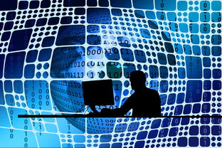 上海如何查询社保基数 2023年度缴纳情况呢