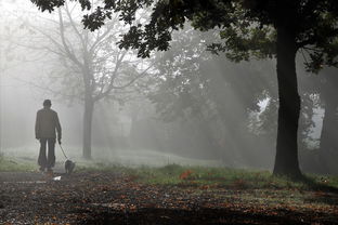 关于上海到海宁盐官观潮景区怎么走相关关键词有哪些