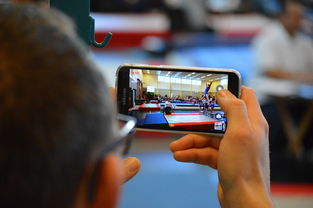 如何查询上海社保基数是多少啊今年11月份缴费