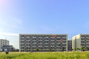 关于上海财经大学法学考研分数线高吗相关关键词有哪些