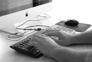 如何查询落户上海时间和地点记录呢知乎文章下载