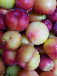 盘点上海乐乐麻将相关关键词有哪些