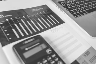 盘点上海工程技术大学编码相关关键词有哪些