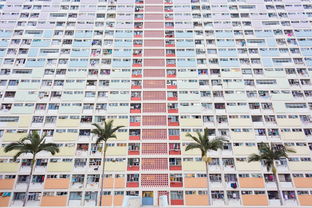 关于上海房屋租赁备案登记相关关键词有哪些