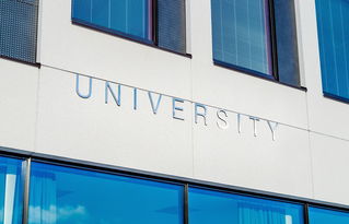 盘点上海市大学排名排行前十相关关键词有哪些