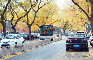盘点北京至上海沿途天气相关关键词有哪些