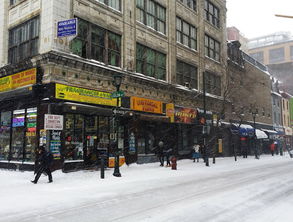 盘点上海学生英文报答案相关关键词有哪些