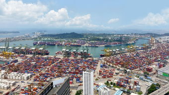 盘点上海科技馆怎么去相关关键词有哪些