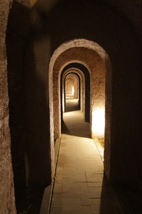 关于2019年上海小红楼事件相关关键词有哪些