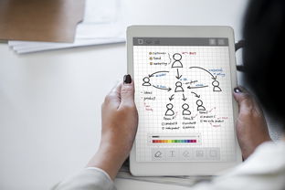 盘点上海财经大学经济学考研分数线为什么不高相关关键词有哪些