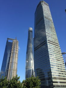 关于上海中实供应链相关关键词有哪些