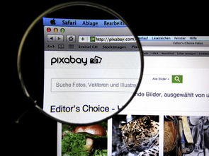 关于更上海环动多媒体秀相关关键词有哪些