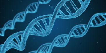 关于上海美迪西生物医药股份有限公司相关关键词有哪些