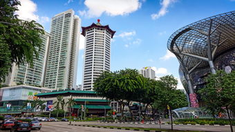 盘点上海必须玩的景点排行榜相关关键词有哪些