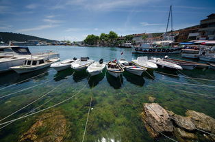 盘点上海朱家角古镇游玩攻略相关关键词有哪些