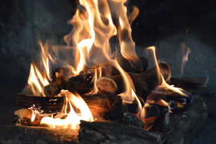 关于上海石化火灾相关关键词有哪些