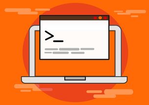 盘点上海交大研究生招生网数学编号查询相关关键词有哪些