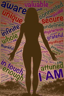 关于上海平安车险招聘相关关键词有哪些