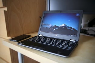 盘点今日上海黄金实时价格相关关键词有哪些