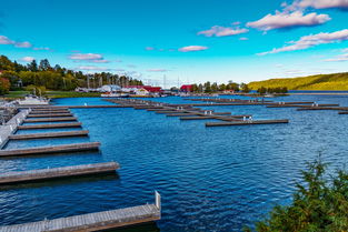 关于上海的211大学相关关键词有哪些