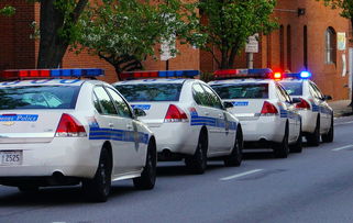 关于上海警官职业学院相关关键词有哪些