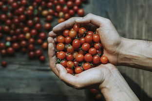 关于上海请菲佣相关关键词有哪些