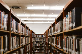 盘点上海大学考研招生简章2023相关关键词有哪些