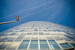 关于哈佛中心上海相关关键词有哪些