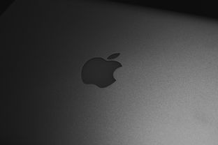 关于上海apple相关关键词有哪些