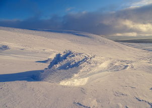 关于上海去海宁观潮一日游多少钱人民币相关关键词有哪些