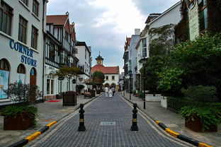 盘点上海华漕学校相关关键词有哪些