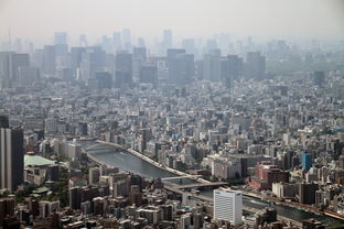 盘点上海一日游最佳路线推荐是什么地方相关关键词有哪些