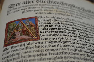 关于上海什么大学排名全国第一相关关键词有哪些